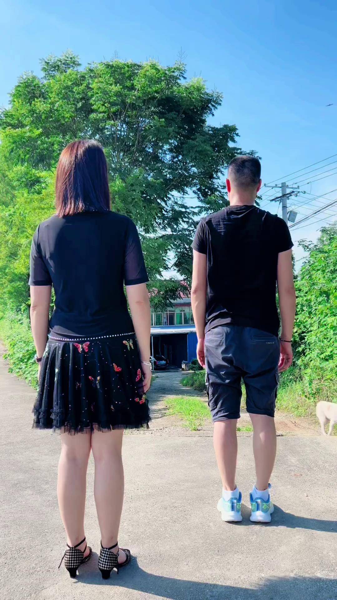 舞蹈夫妻(舞蹈夫妻哨的主题思想是什么)